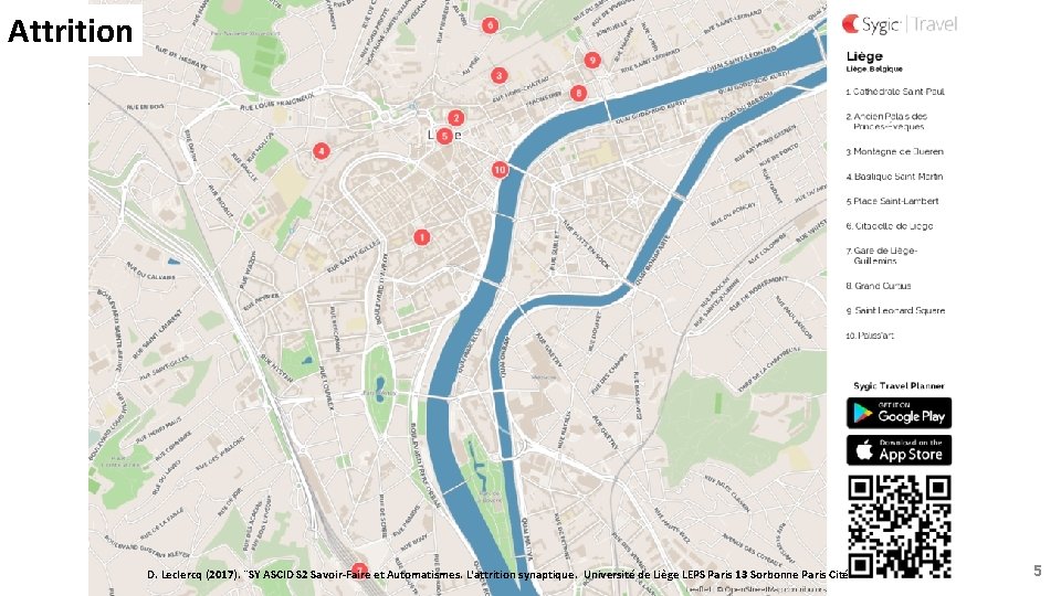 Attrition D. Leclercq (2017). ¨SY ASCID S 2 Savoir-Faire et Automatismes. L'attrition synaptique. Université