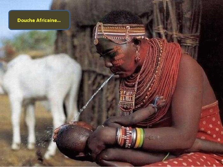 Douche Africaine… 