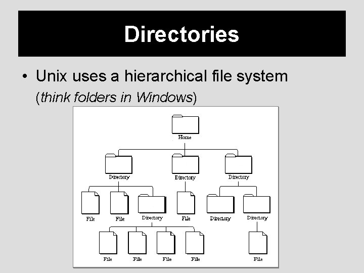 Directories • Unix uses a hierarchical file system (think folders in Windows) 