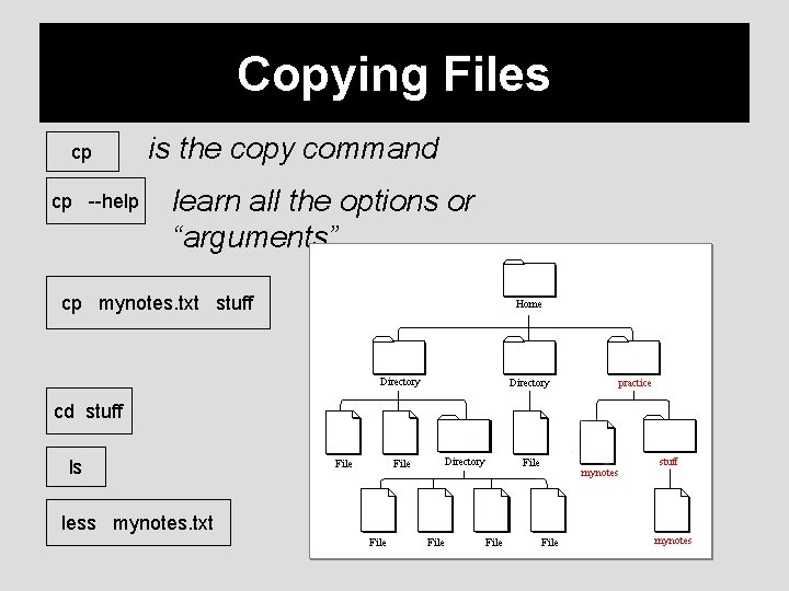 Copying Files cp cp --help is the copy command learn all the options or