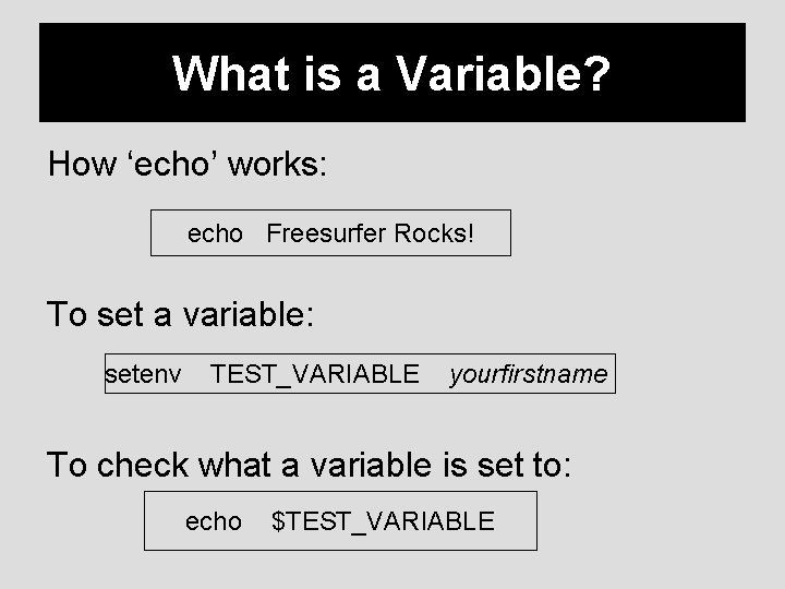 What is a Variable? How ‘echo’ works: echo Freesurfer Rocks! To set a variable: