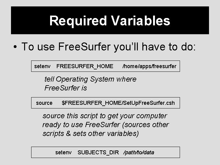 Required Variables • To use Free. Surfer you’ll have to do: setenv FREESURFER_HOME /home/apps/freesurfer