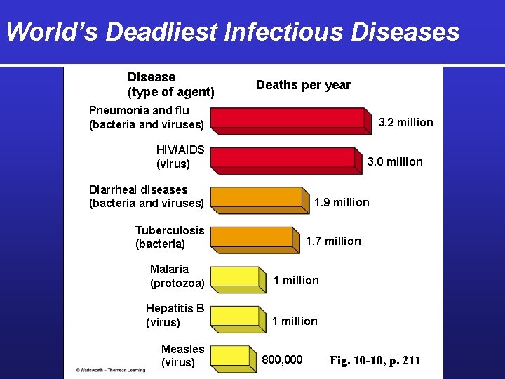 World’s Deadliest Infectious Disease (type of agent) Deaths per year Pneumonia and flu (bacteria