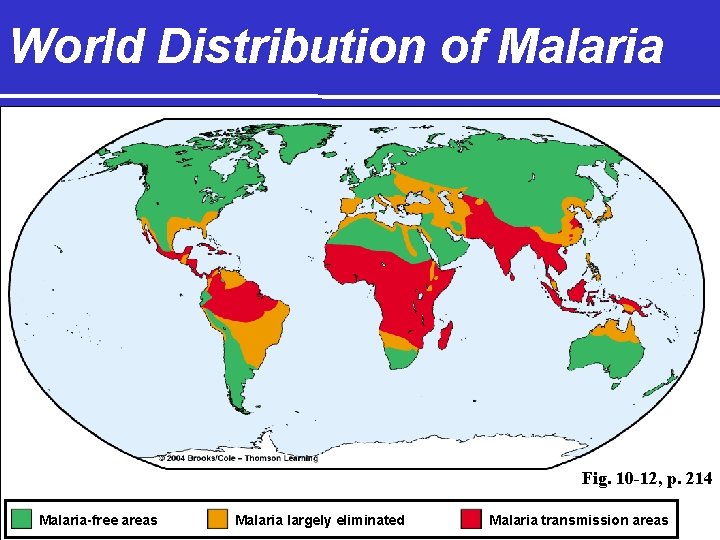 World Distribution of Malaria Fig. 10 -12, p. 214 Malaria-free areas Malaria largely eliminated