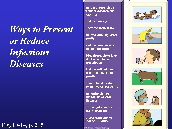 Increase research on tropical diseases and vaccines Reduce poverty Ways to Prevent or Reduce