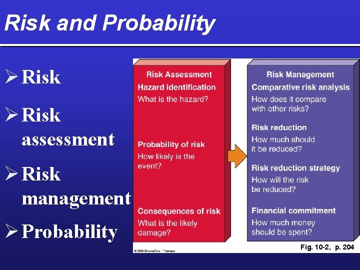 Risk and Probability Ø Risk assessment Ø Risk management Ø Probability Fig. 10 -2,