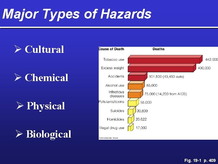 Major Types of Hazards Ø Cultural Ø Chemical Ø Physical Ø Biological Fig. 19