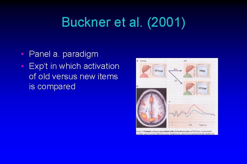 Buckner et al. (2001) • Panel a. paradigm • Exp’t in which activation of