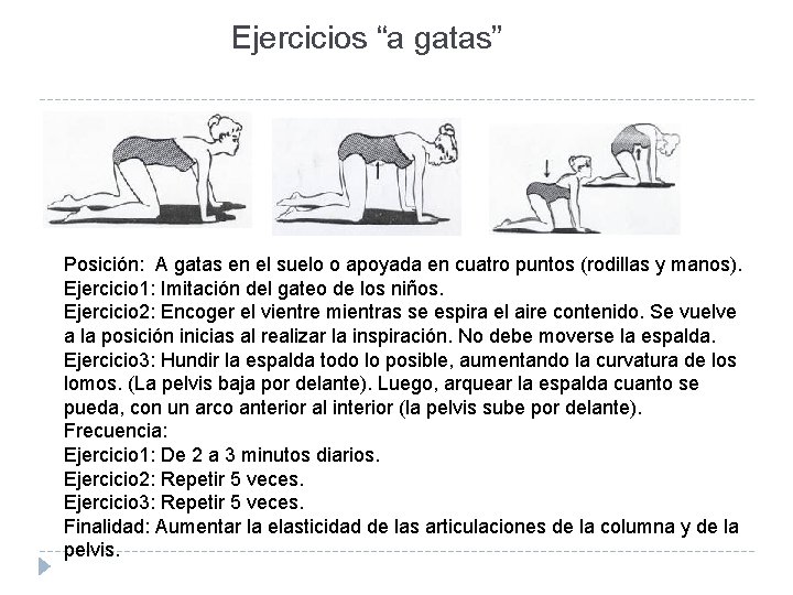Ejercicios “a gatas” Posición: A gatas en el suelo o apoyada en cuatro puntos Ejercicios “a gatas” Posición: A gatas en el suelo o apoyada en cuatro puntos