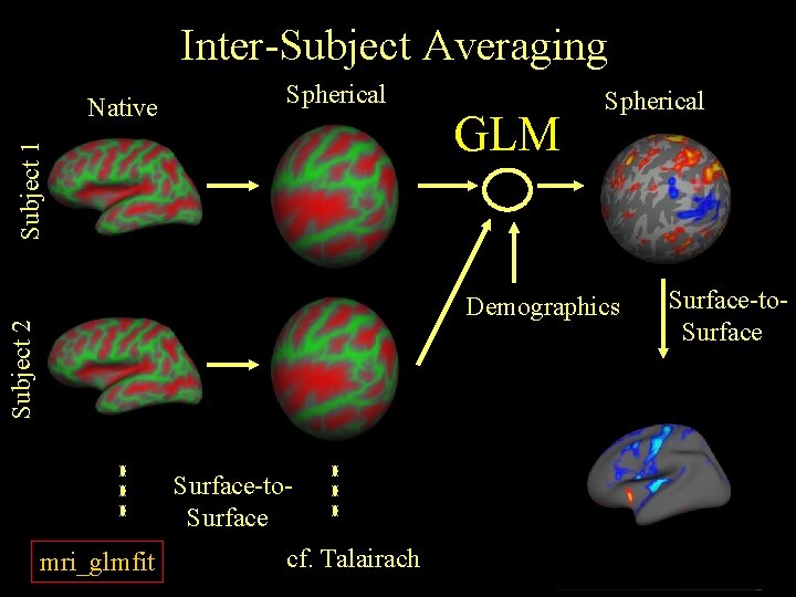 Inter-Subject Averaging Spherical Subject 1 Native GLM Spherical Subject 2 Demographics Surface-to. Surface mri_glmfit