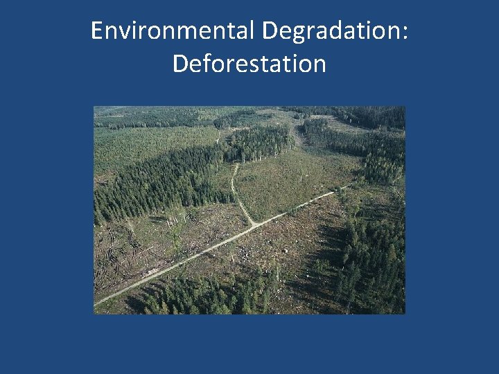 Environmental Degradation: Deforestation 