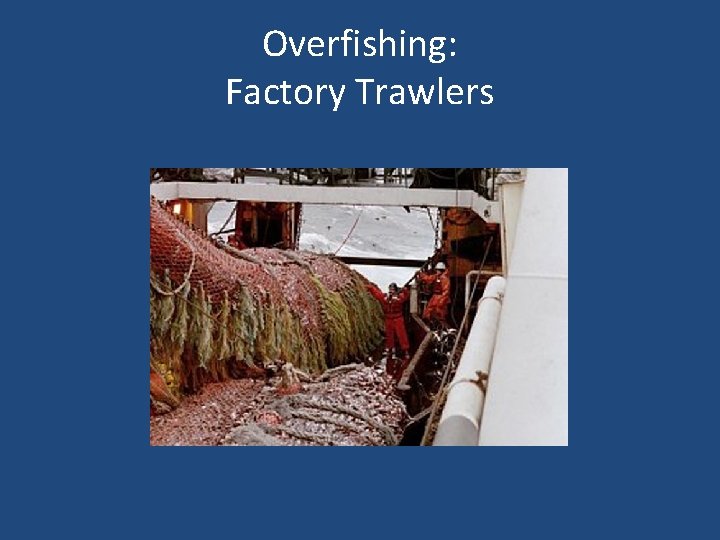 Overfishing: Factory Trawlers 