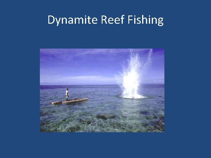 Dynamite Reef Fishing 