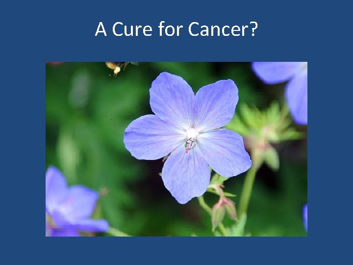 A Cure for Cancer? 