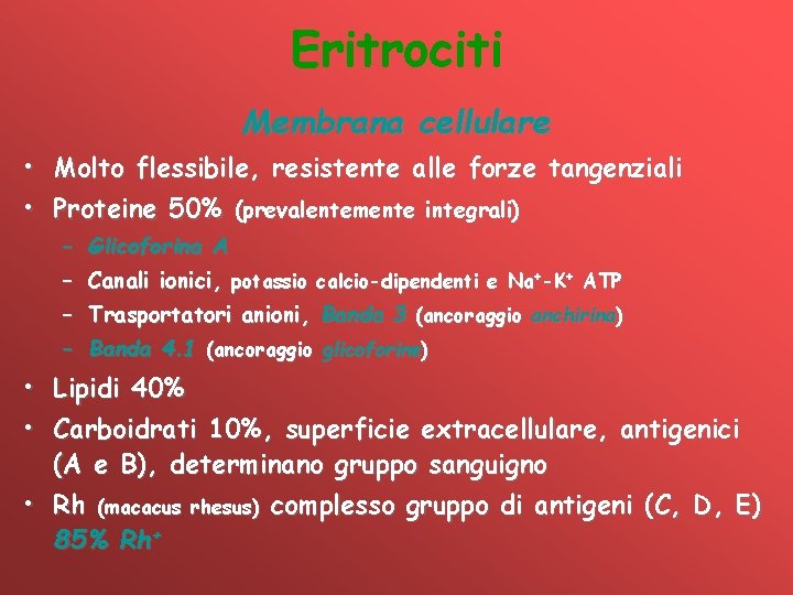 Eritrociti Membrana cellulare • Molto flessibile, resistente alle forze tangenziali • Proteine 50% (prevalentemente