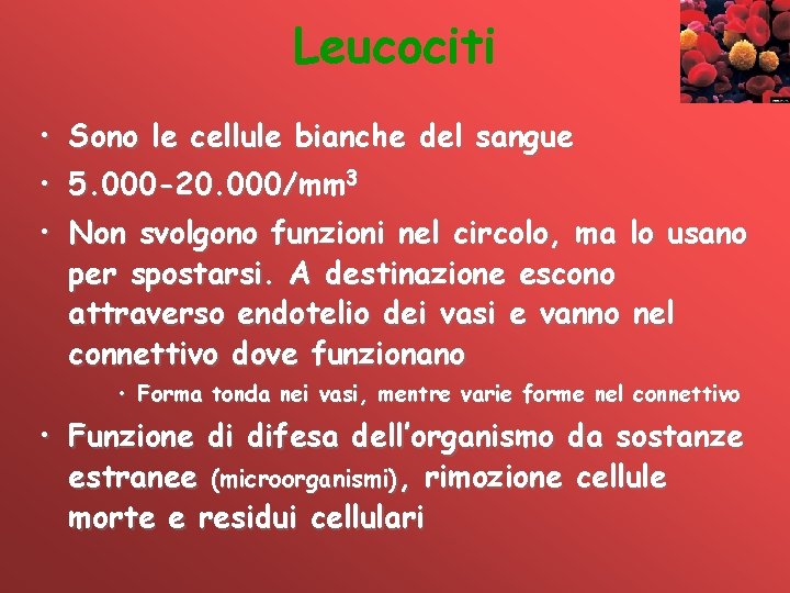 Leucociti • Sono le cellule bianche del sangue • 5. 000 -20. 000/mm 3