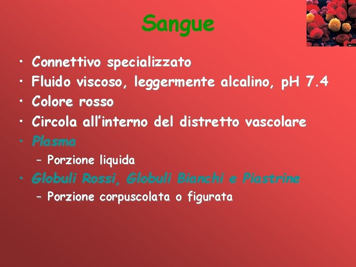 Sangue • • • Connettivo specializzato Fluido viscoso, leggermente alcalino, p. H 7. 4