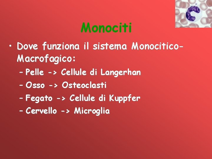 Monociti • Dove funziona il sistema Monocitico. Macrofagico: – Pelle -> Cellule di Langerhan