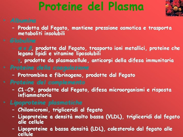 Proteine del Plasma • Albumina – Prodotta dal Fegato, mantiene pressione osmotica e trasporta