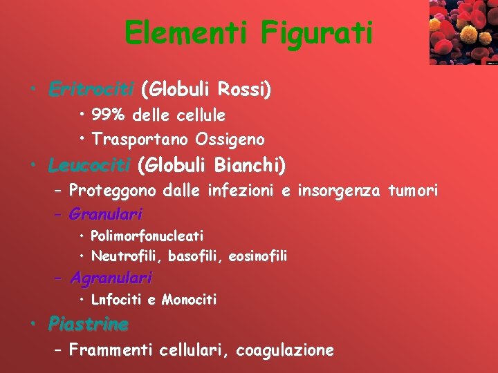 Elementi Figurati • Eritrociti (Globuli Rossi) • 99% delle cellule • Trasportano Ossigeno •