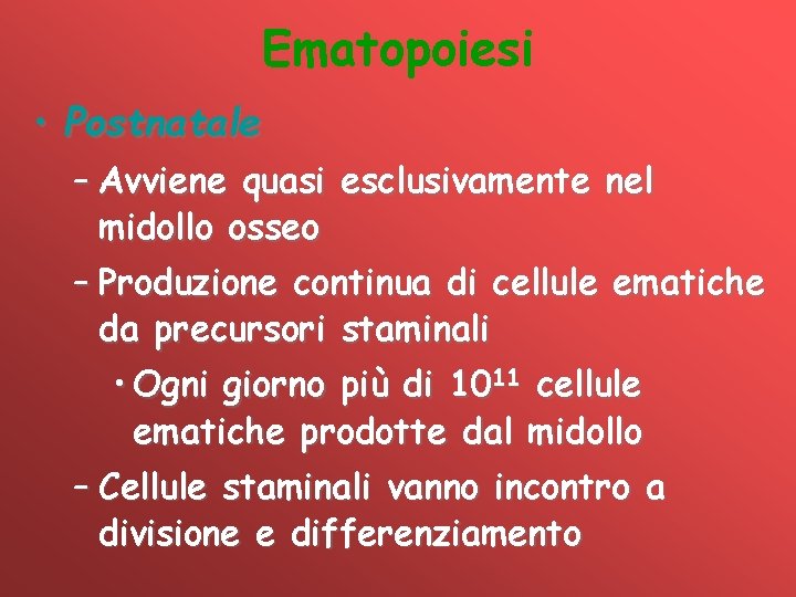 Ematopoiesi • Postnatale – Avviene quasi esclusivamente nel midollo osseo – Produzione continua di