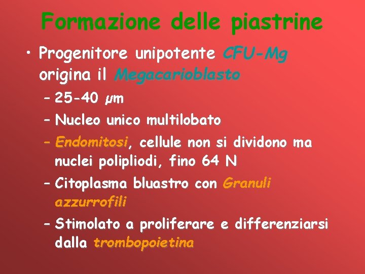 Formazione delle piastrine • Progenitore unipotente CFU-Mg origina il Megacarioblasto – 25 -40 µm