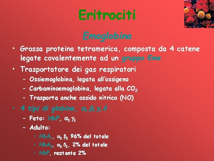 Eritrociti Emoglobina • Grossa proteina tetramerica, composta da 4 catene legate covalentemente ad un