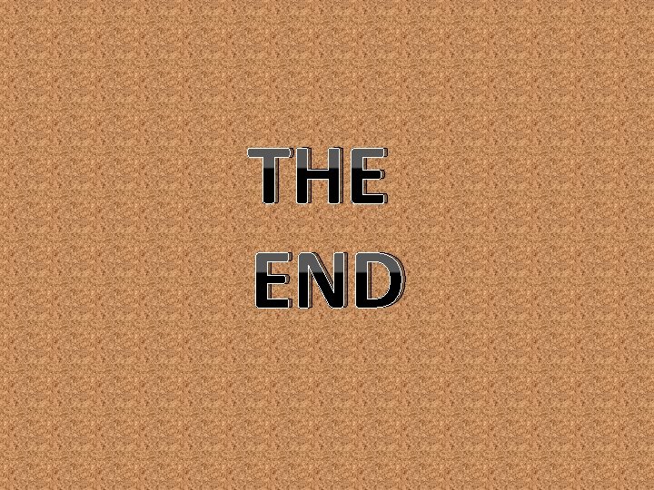 THE END 