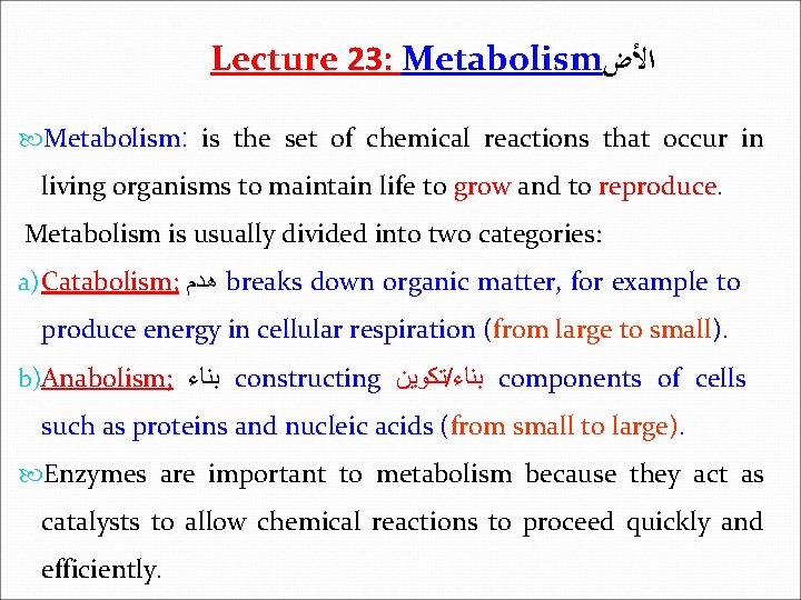 Lecture 23: Metabolism ﺍﻷﺽ Metabolism: is the set of chemical reactions that occur in