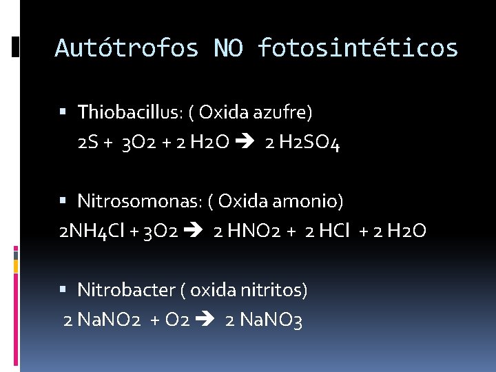 Autótrofos NO fotosintéticos Thiobacillus: ( Oxida azufre) 2 S + 3 O 2 +