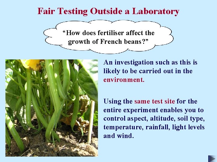 Fair Testing Outside a Laboratory “How does fertiliser affect the growth of French beans?