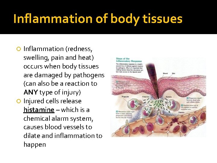 Inflammation of body tissues Inflammation (redness, swelling, pain and heat) occurs when body tissues