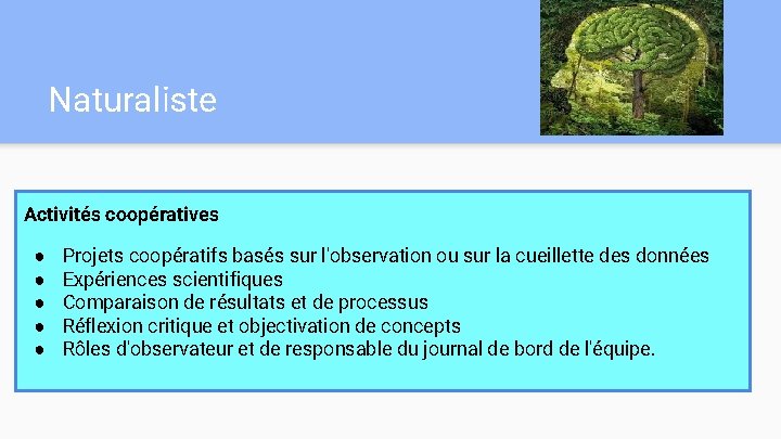 Naturaliste Activités coopératives ● ● ● Projets coopératifs basés sur l'observation ou sur la Naturaliste Activités coopératives ● ● ● Projets coopératifs basés sur l'observation ou sur la