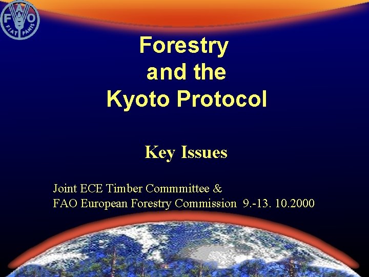 Forestry and the Kyoto Protocol Key Issues Joint ECE Timber Commmittee & FAO European