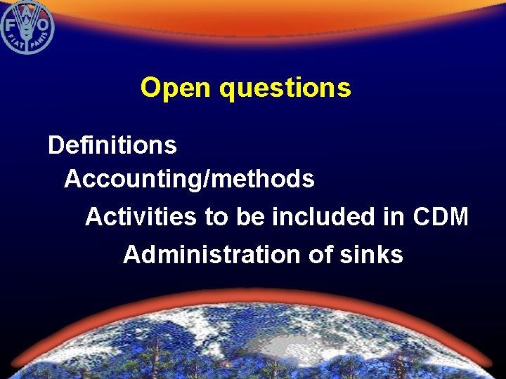 Open questions Definitions Accounting/methods Activities to be included in CDM Administration of sinks 