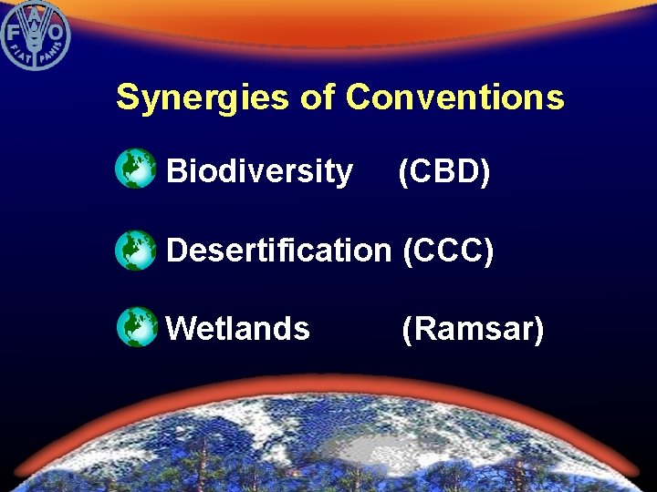 Synergies of Conventions Biodiversity (CBD) Desertification (CCC) Wetlands (Ramsar) 