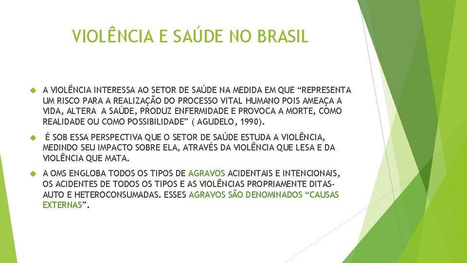 VIOLÊNCIA E SAÚDE NO BRASIL A VIOLÊNCIA INTERESSA AO SETOR DE SAÚDE NA MEDIDA