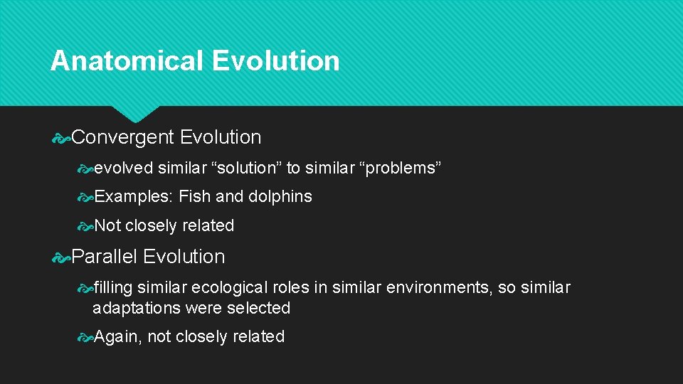 Anatomical Evolution Convergent Evolution evolved similar “solution” to similar “problems” Examples: Fish and dolphins