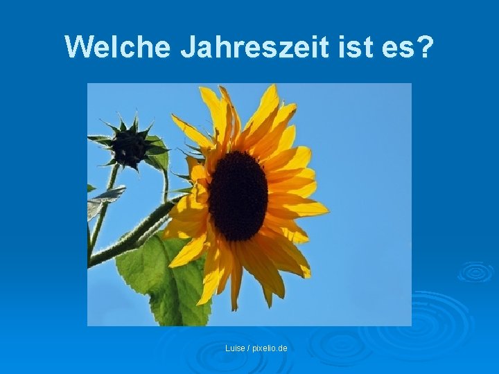 Welche Jahreszeit ist es? Luise / pixelio. de 