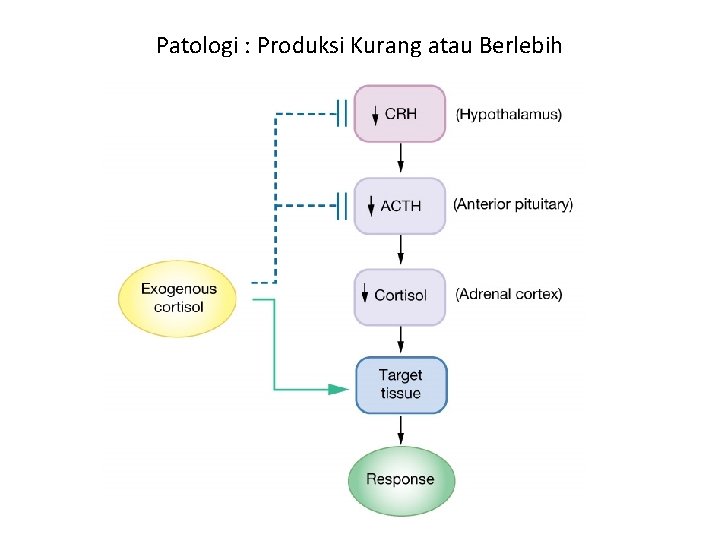 Patologi : Produksi Kurang atau Berlebih 