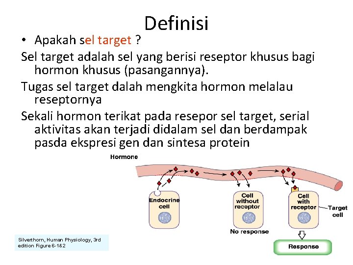 Definisi • Apakah sel target ? Sel target adalah sel yang berisi reseptor khusus