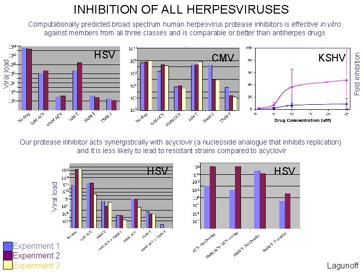 INHIBITION OF ALL HERPESVIRUSES Viral load HSV KSHV CMV Fold inhibition Computationally predicted broad