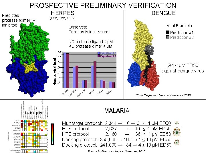 PROSPECTIVE PRELIMINARY VERIFICATION Predicted protease (dimer) + inhibitor: HERPES DENGUE (HSV, CMV, KSHV) Viral