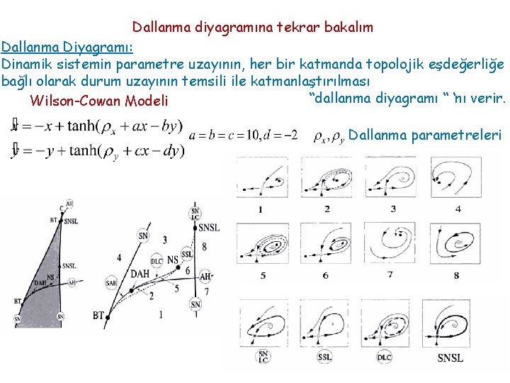 Dallanma diyagramına tekrar bakalım Dallanma Diyagramı: Dinamik sistemin parametre uzayının, her bir katmanda topolojik