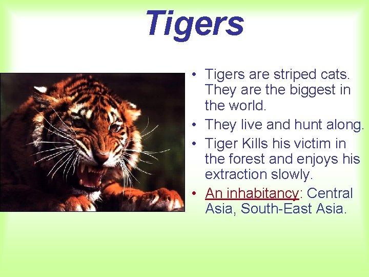 Tigers • Tigers are striped cats. They are the biggest in the world. •