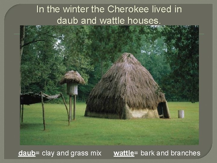 In the winter the Cherokee lived in daub and wattle houses. daub= clay and
