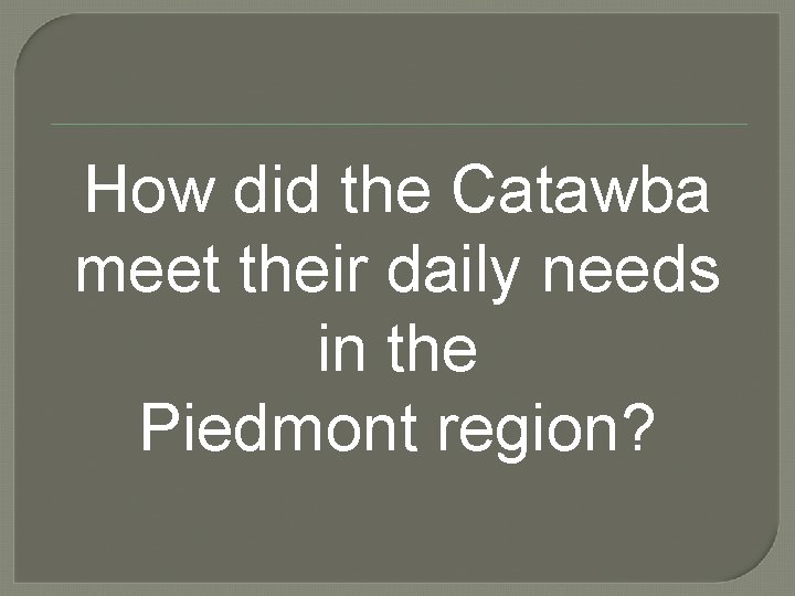 How did the Catawba meet their daily needs in the Piedmont region? 