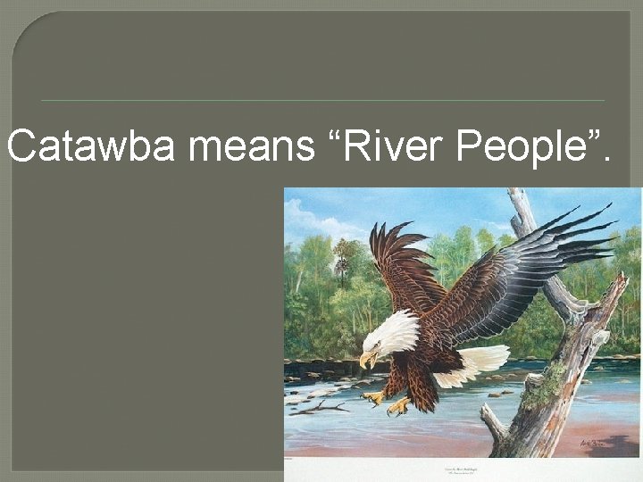 Catawba means “River People”. 