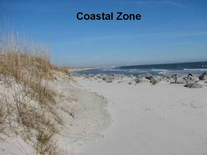 Coastal Zone 
