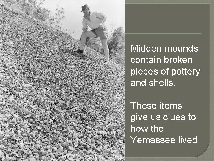 Midden mounds contain broken pieces of pottery and shells. These items give us clues